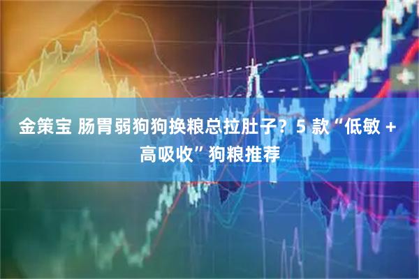 金策宝 肠胃弱狗狗换粮总拉肚子？5 款“低敏 + 高吸收”狗粮推荐