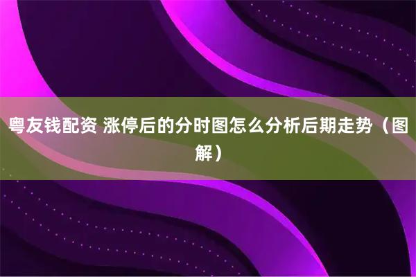 粤友钱配资 涨停后的分时图怎么分析后期走势（图解）