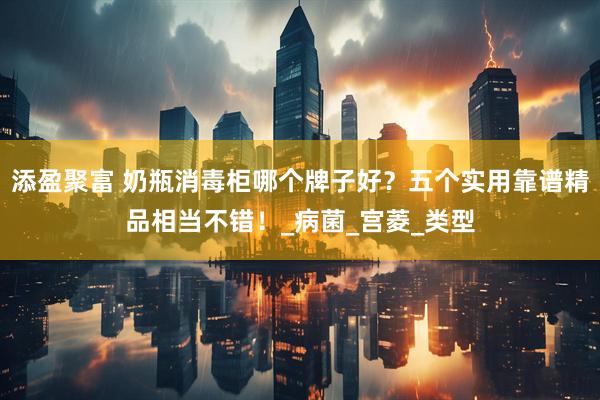 添盈聚富 奶瓶消毒柜哪个牌子好？五个实用靠谱精品相当不错！_病菌_宫菱_类型